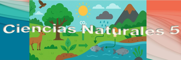cienciasnaturales5g.milaulas.com